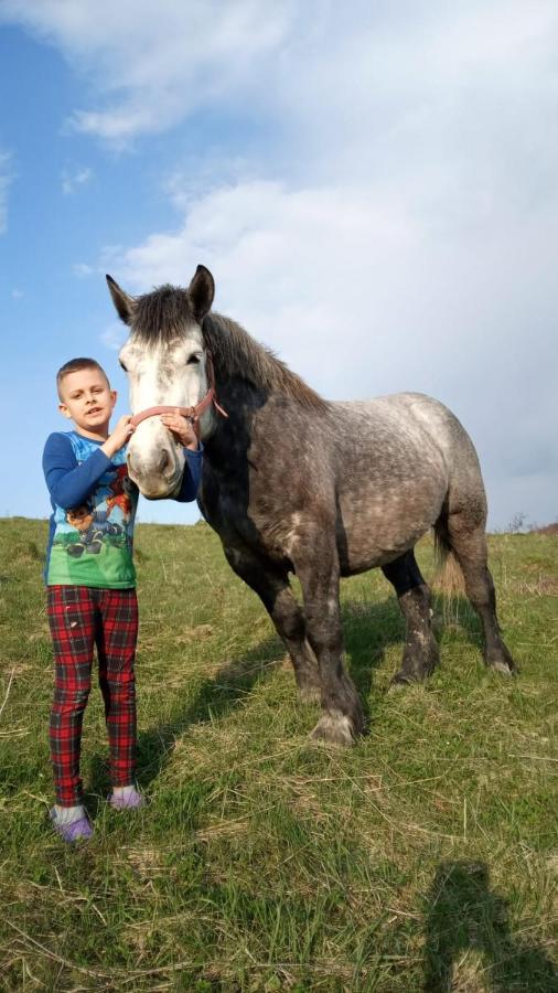 Domki W Bieszczadzkiej Dolinie Ustrzyki Dolne Esterno foto